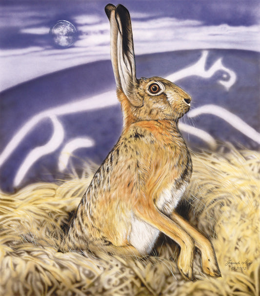 Moonshadow Hare