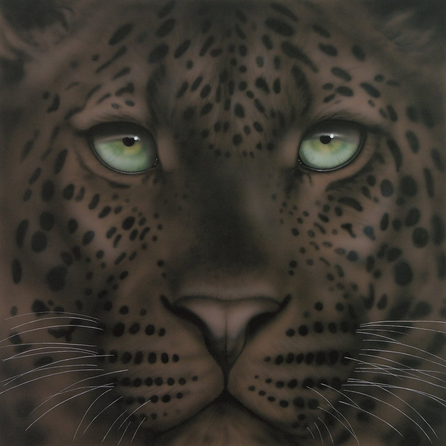 Black Leopard