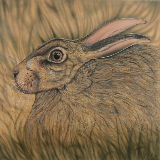 Africa Omen - Hare