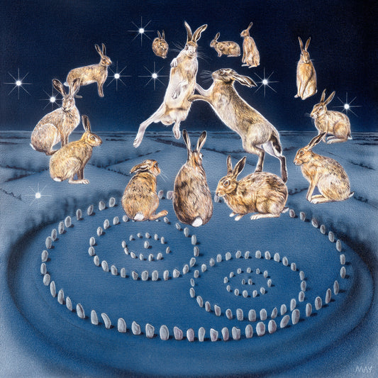 Aquarius Hare ~20th Jan-18th Feb