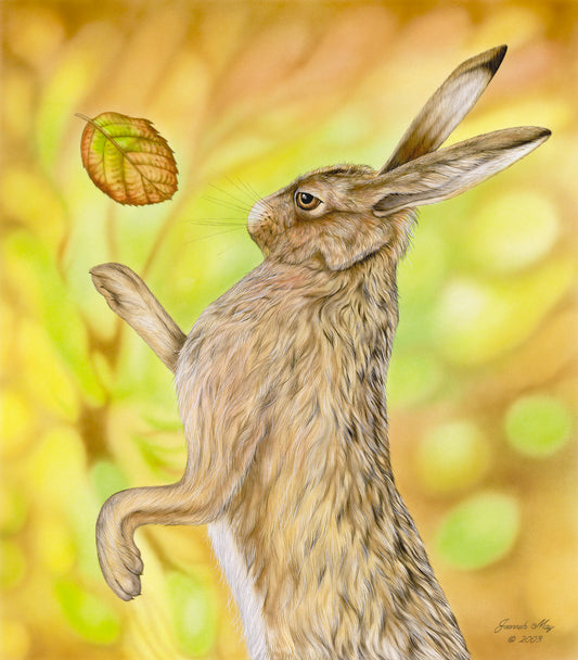 Dancing male hare with an autumn leaf