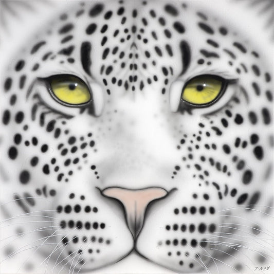 Snow Leopard