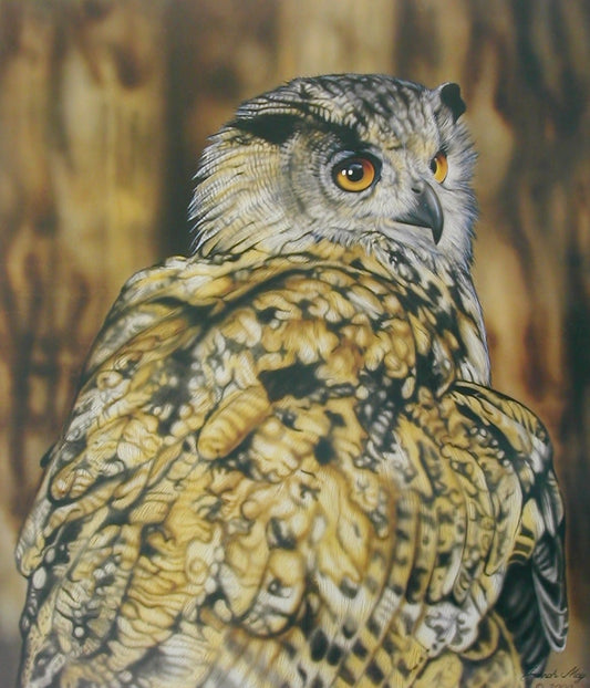 Eagle Owl - Resting For a Moment