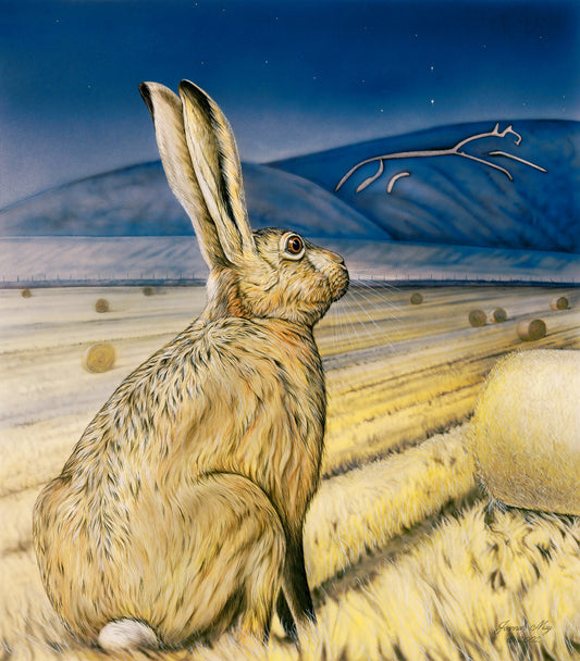 Star Gazing Hare