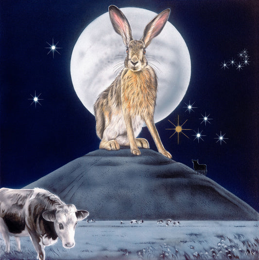 Taurus Hare~ 20th Apr-20th May