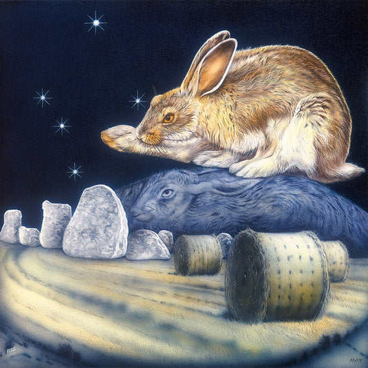 Virgo Hare~ 23rd Aug-22th Sep