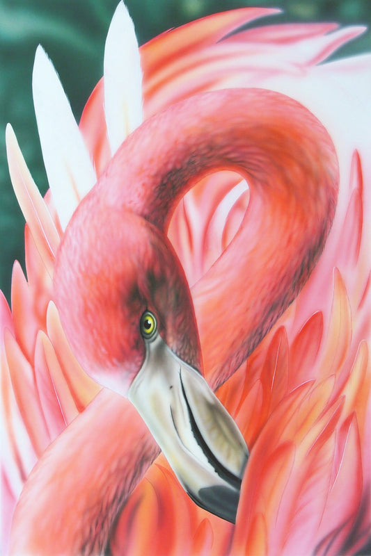 Pink Feathers