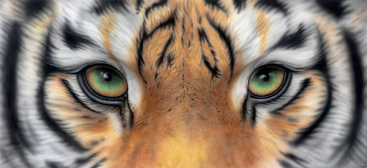 Tiger green eyes
