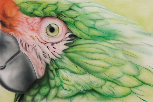 Green Parrot