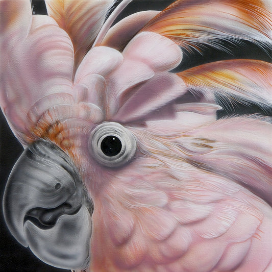 Pink Parrot