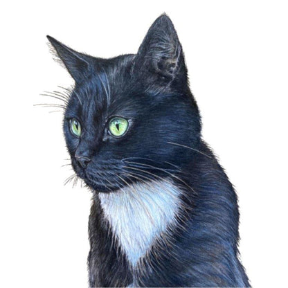Pet Portrait Commissions || A5